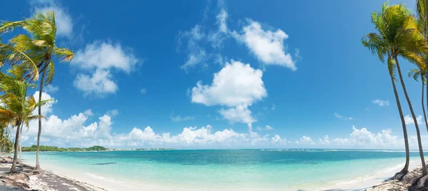 Modrá Obloha Kokosové Stromy Tyrkysové Vody Zlatý Písek Panoramatický Pohled — Stock fotografie