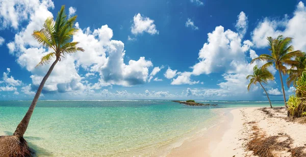 Blå Himmel Kokosnötter Träd Turkost Vatten Och Gyllene Sand Panoramautsikt — Stockfoto