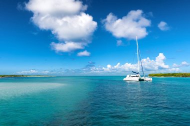Katamaran demirleme Petite terre, Guadeloupe, Fransız Batı Hindistan, mavi gökyüzü arka plan yakınındaki