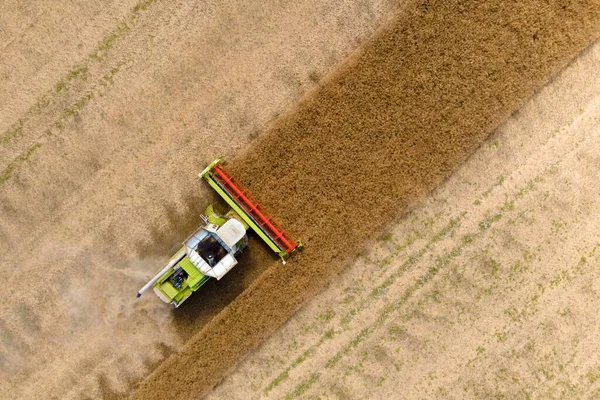 Aerial Drone View Combine Harvester Working Field — Stock Photo, Image