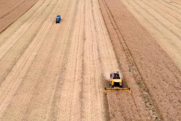 Aerial View Modern Combine Harvester Harvesting Rapeseed — Stock Photo, Image