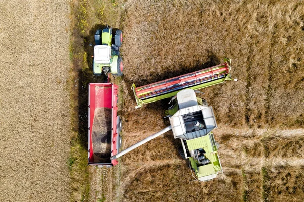 Drone Aerial View Modern Combine Harvester Pourring Crop Tractor Dump — Stock Photo, Image