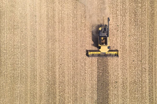 Aerial View Modern Combine Harvester Action Ending Harvesting Wheat Field — Stock Photo, Image