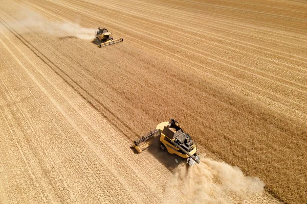 Aerial View Modern Combine Harvester Action Ending Harvesting Wheat Field — Stock Photo, Image