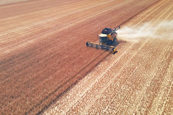 Воздушный Обзор Современного Комбайна Действии Завершающего Уборку Пшеничного Поля — стоковое фото