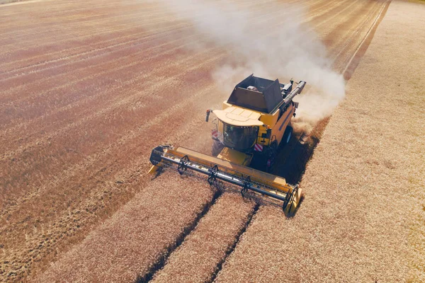 Çağdaş Bir Biçerdöverin Hava Görüntüsü Buğday Tarlası Hasat Ediyor — Stok fotoğraf