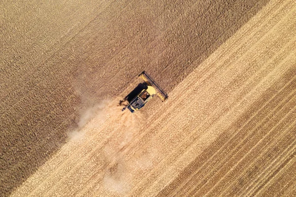 Aerial View Modern Combine Harvester Action Ending Harvesting Wheat Field — Stock Photo, Image