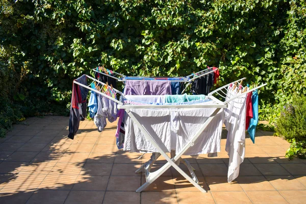 many different clothes holding in washing line at a garden in a sunny day