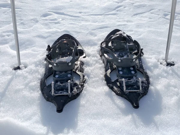 Jogo de um par de snowshoes ou raquetes da neve e dois pólos de esqui na neve branca fria pronta para andar na montanha nevada em um dia ensolarado claro do inverno com uma paisagem do inverno — Fotografia de Stock