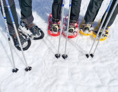 Kar ayakkabılarını üç çift veya raketleri kar ve spor insanların kar karlı dağda kışın güneşli bir günde yürümek için hazır bir grup iki Kayak kutup