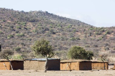 Masai Mara 'da manzara