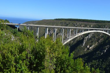 Bloukrans bunjee jumping bridge is an arch bridge located near Nature's Valley and Knysna in Garden route in western cape South Africa clipart