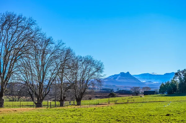 Picture perfect snow capped Drakensberg mountains and green plains in Underberg near Sani pass South Africa