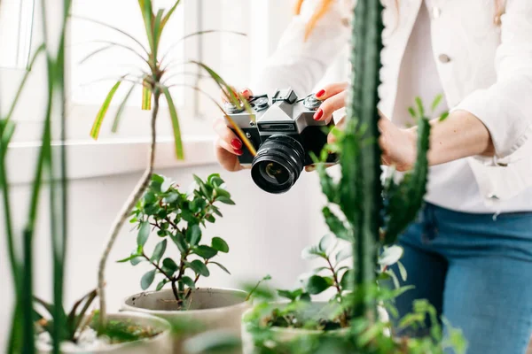 Chica Con Pelo Largo Toma Fotos Flores Casa Oficina Jardinería — Foto de Stock