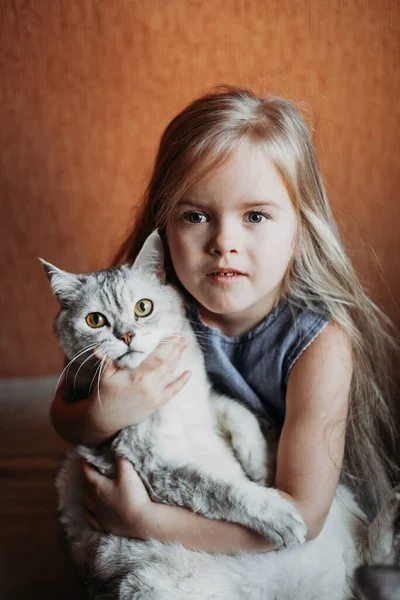 Uma Menina Com Cabelo Loiro Segura Gato Animal Estimação Uma — Fotografia de Stock
