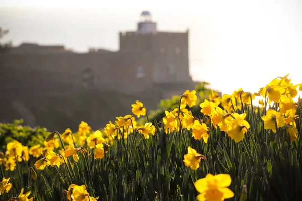 Nergis Devon'da Sidmouth plajda