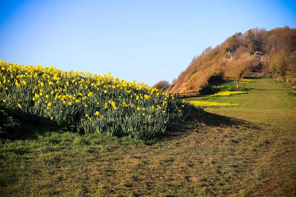 Nergis Devon'da Sidmouth plajda