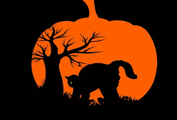 Czarny Kot Dyni Ciemnym Background Illustration Projekt — Zdjęcie stockowe