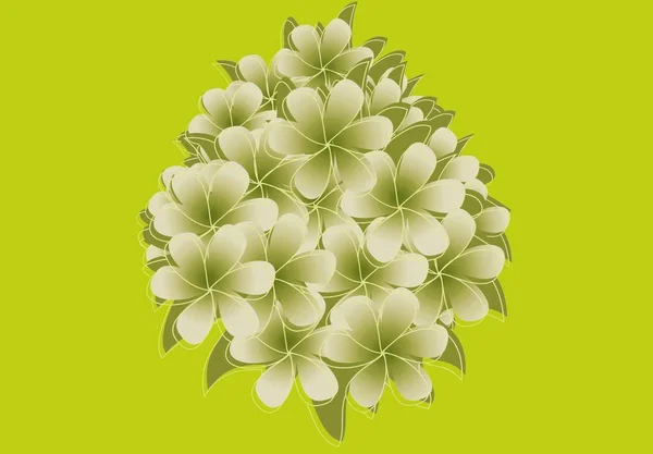 Obrázek Ikony Jasmínových Květů Zeleném Pozadí — Stock fotografie