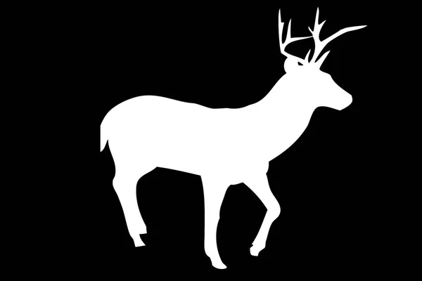 Isolated Deer Animal Design Black Background Illustration — Stock Photo, Image