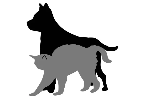 Silhouette Von Katze Und Hund Auf Weißem Hintergrund — Stockfoto