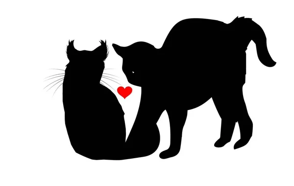 Love cartoon cats character for valentine\'s day on white background - illustration design