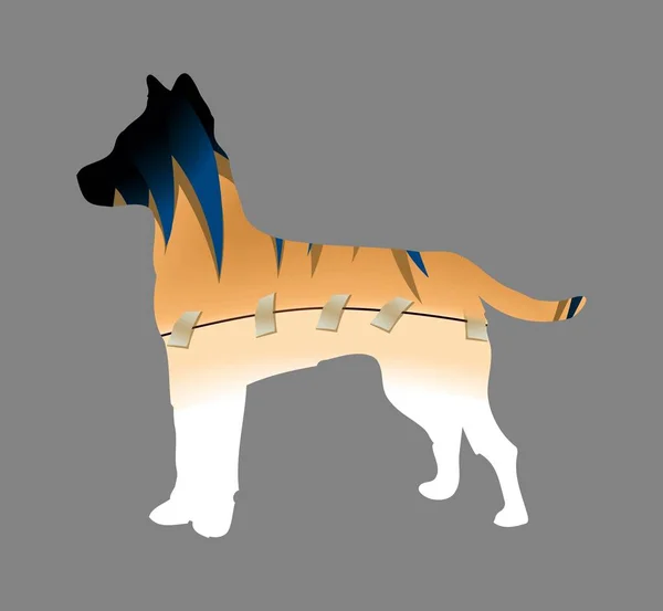 灰色の背景に犬のイラストデザインスタイルに負傷した体の包帯 — ストック写真