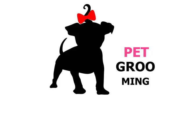 Pet Grooming Logo Design White — Stock Photo, Image