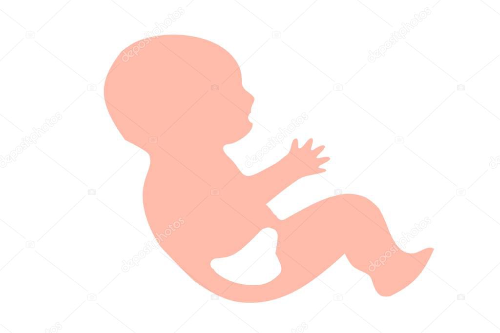 fetus 9 month logo isolated on white background - illustration design 