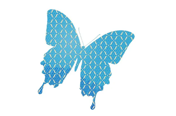 Mariposa Aislada Sobre Fondo Blanco Diseño Ilustración — Foto de Stock
