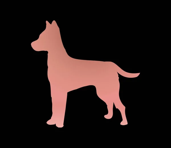 Pembe Köpek Logosu Siyah Arkaplanda Izole Edilmiş Illüstrasyon Tasarımı — Stok fotoğraf