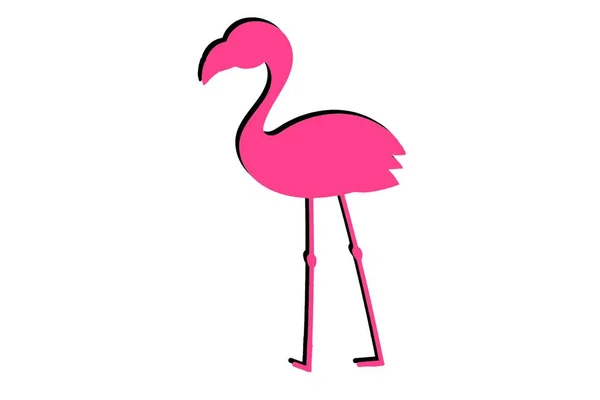 Pink Flamingo Isolated Exotic Bird Tropic Animal Summer Illustration — Stock Photo, Image