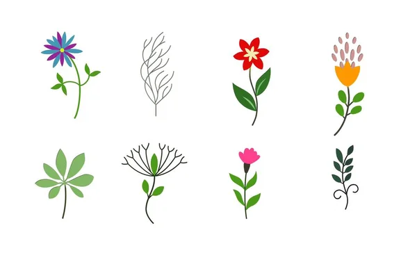 Garden flowers isolated on white background. illustration design