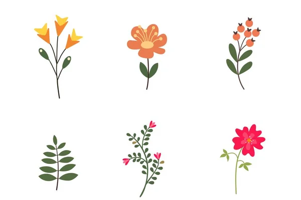 Botanisk Illustration Grafiska Designelement För Din Logotyp Och Identi — Stockfoto