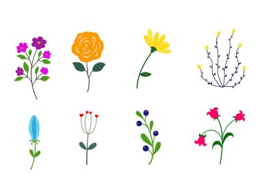 Çiçekler ve çiçek elementleri beyaz arka planda izole edilmiş. resimleme tasarımı 