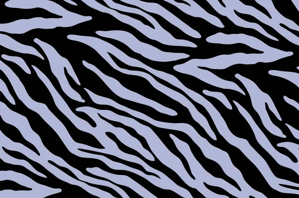 Zebra Kaplan Çizgileri Koyu Arkaplanda Renk Deseni Resimleme Tasarımı — Stok fotoğraf