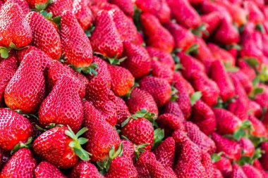 Taze kırmızı çilek meyve piyasada