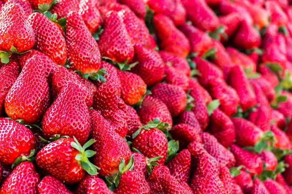 Taze kırmızı çilek meyve piyasada