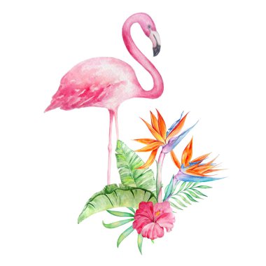 tropikal bir buketile suluboya flamingo2