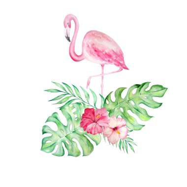 tropikal bir buket ile suluboya flamingo3