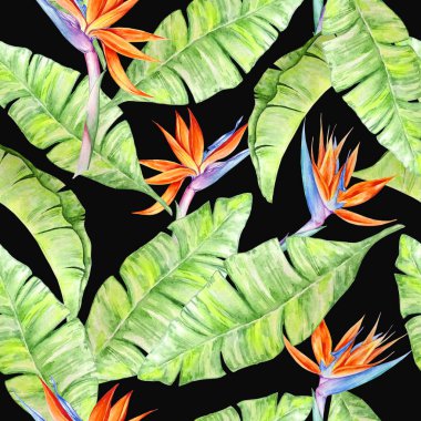 suluboya tropikal desen8