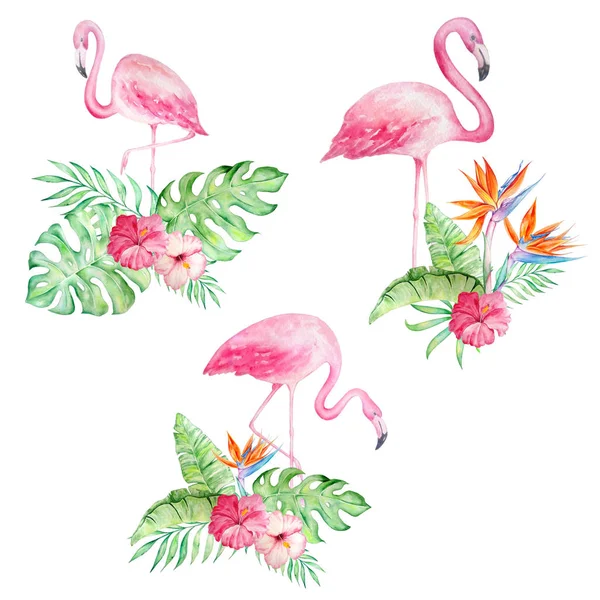 Tropikal çiçekler ile suluboya flamingolar seti — Stok fotoğraf