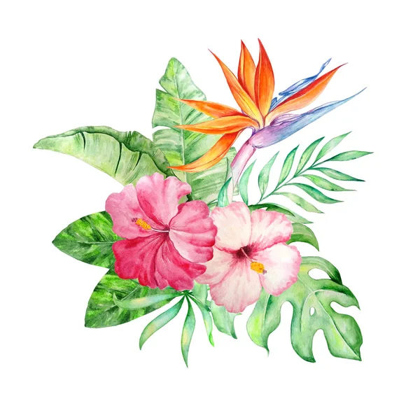 watercolor bouquet tropical flowers