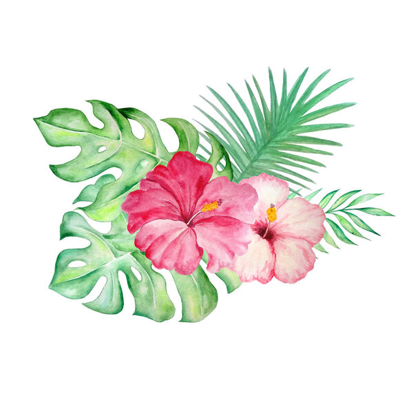 watercolor tropical flowers hibiscus