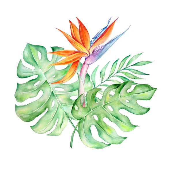 watercolor tropical flower with leaves