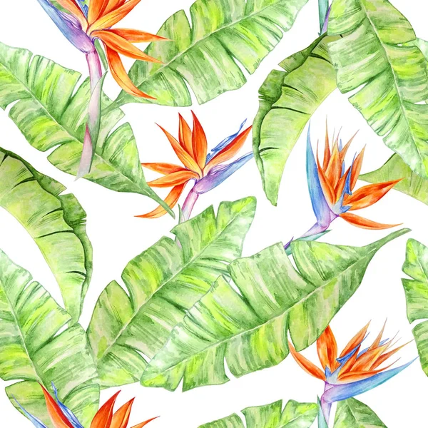 Watercolor tropical pattern n9 — стоковое фото