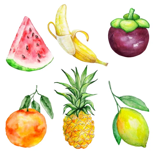 白色の背景に隔離されたエキゾチックな明るい熱帯果実を水彩画で描き — ストック写真