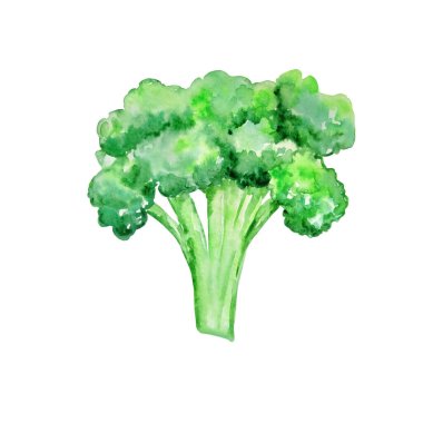 suluboya yeşil brokoli sebzesi beyaz bir sırtüstü