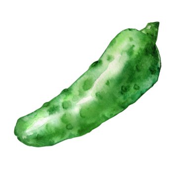 suluboya yeşil salatalık sebze yalıtılmış nesne beyaz arka grubunda