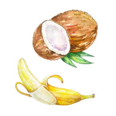 suluboya egzotik parlak tropikal meyve beyaz arka grubunda izole